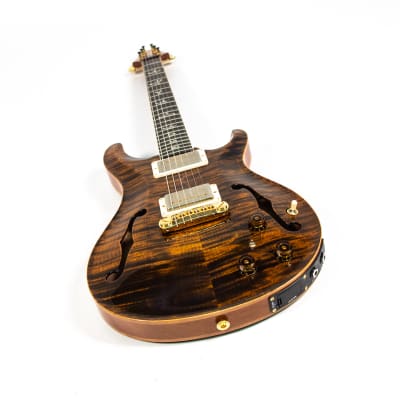 PRS Paul Reed Smith Hollowbody II Owned by Nils Lofgren image 10