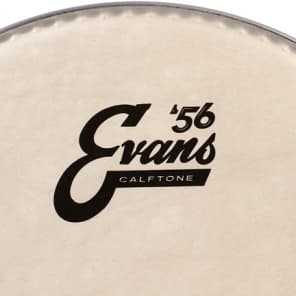 Evans Calftone Drumhead - 10 inch image 2
