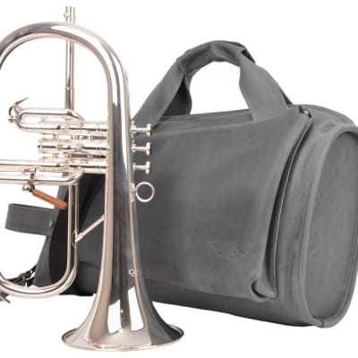 berkeleywind C Bb cornet | Reverb berkeleywind C Bb cornet | Reverb