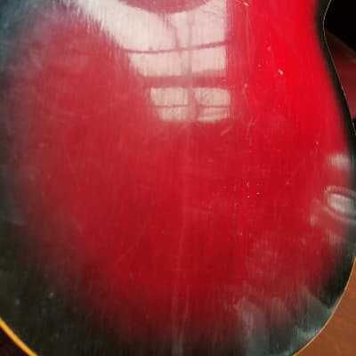 Vintage Egmond Colorado Bass image 17