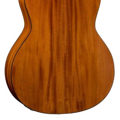 Dean 6 String St. Augustine Concert Solid Wood Acoustic Electric Guitar SACE SN image 7