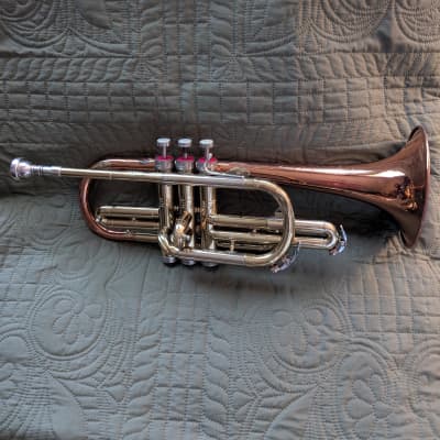 完璧すぎて可愛げがない Signet Selmer Vintage Special Reverb | 1975 c. Trumpet 管楽器・吹奏楽器