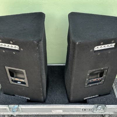 EV DML-1152A 2-Way Full Range Speakers W/Carpet & W/Case | Reverb