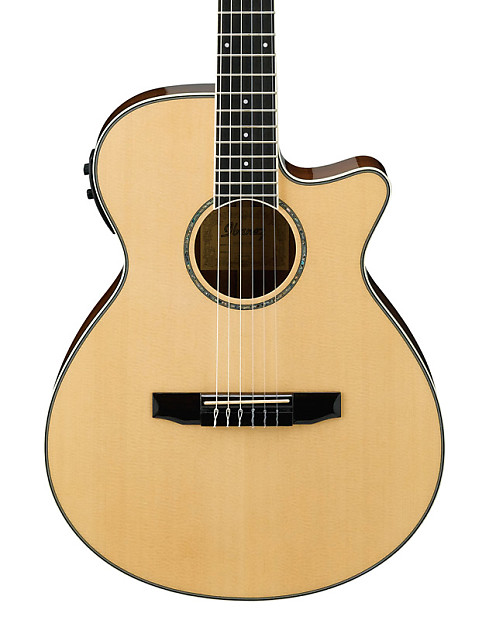 Ibanez aeg10nii cheap