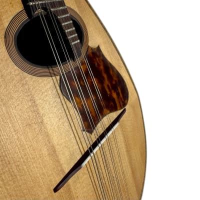 Concert Mandolin Emanuele Egildo N°299 from 1912 image 5