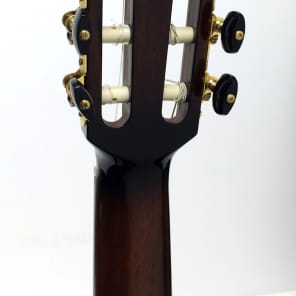 Ibanez GA35 Thinline Acoustic-Electric Classical Guitar Dark
