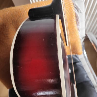 Alosa  High end archtop 1955-1957 image 5