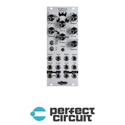 Noise Engineering Electus Versio Stereo Clocked Reverb (Silver) image 1