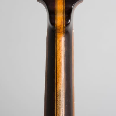 Wm. Lange  Super Orpheum 3 Tenor Banjo,  c. 1929, ser. #17368, black tolex hard shell case. image 17