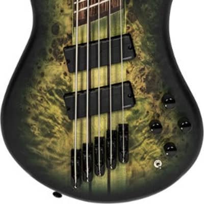 Spector NS Dimension Multi Scale 5 String Bass in Haunted Moss Matte