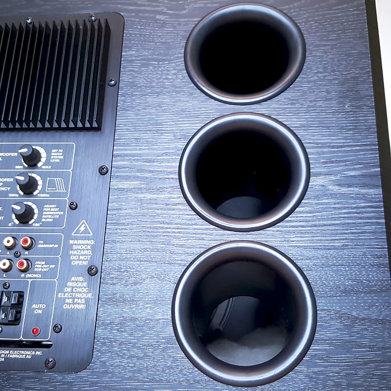 Paradigm PS-1000 V.1 Subwoofer w/ Amp +Speaker Wires +RCA