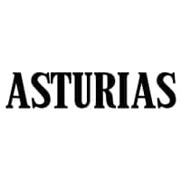 ASTURIAS GUITAR MANUFACTURING LTD. JAPAN