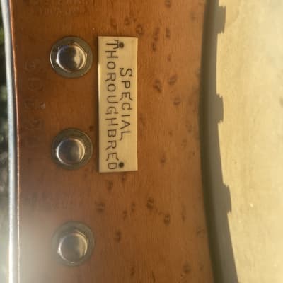 1896 SS Stewart special Throughbred 5 string banjo - All original parts- image 14