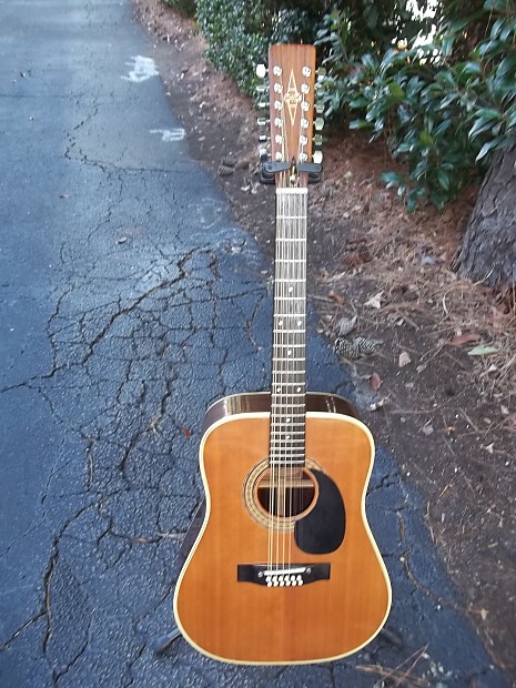 Alvarez 5054 hotsell 12 string