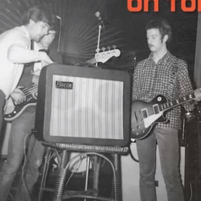 Vintage 1960s Burns London Orbit Two 2x10 Combo image 3