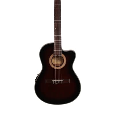 Ibanez GA35TCE Thinline Classical Acoustic Electric Guitar Violin image 2