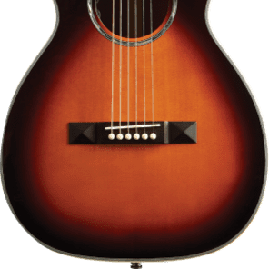 Tasman parlour guitar sale
