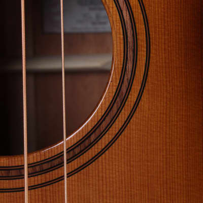 Breedlove Solo Pro Concerto Edgeburst Bass Acoustic Electric Bass Guitar w Case image 5
