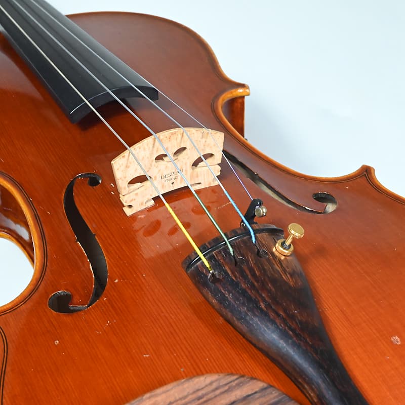 Pygmalius Derius Giapponese 