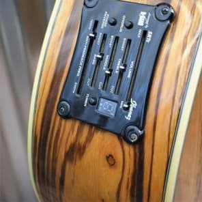 Ibanez EW20ZWENT Exotic Wood Series Zebrawood Acoustic Electric Guitar image 7
