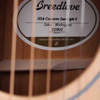 Breedlove USA Concerto Sun Light E Acoustic Electric Guitar with Case NAMM image 4