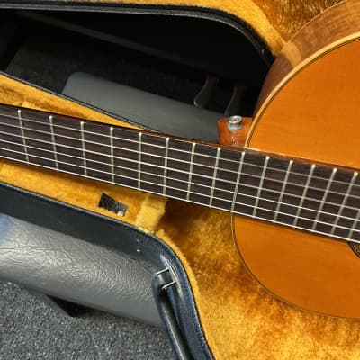 Raimundo classical electric guitar model #106 made in Spain 1970s-1980s in excellent condition with original vintage hard case. image 23