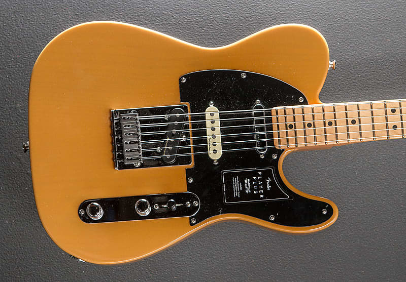 Fender Player Plus Nashville Telecaster - Butterscotch Blonde | Reverb