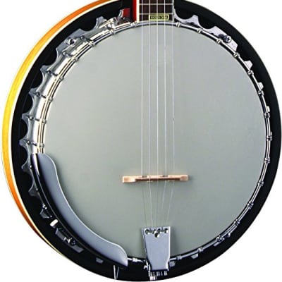 Washburn B9-WSH Americana Series Cast Aluminum Tone Ring  5-string Resonator Banjo image 2