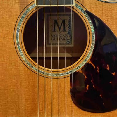 Morgan Guitars JVM Single Cutaway - Rare Jumbo Model image 4