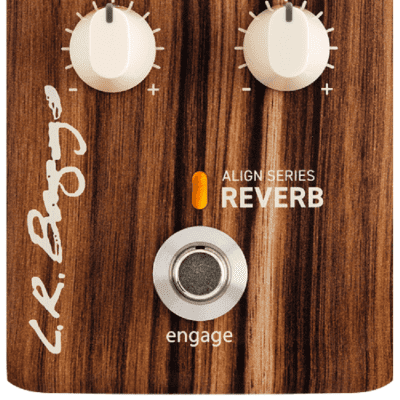 LR Baggs Align Series Reverb *Free Shipping in the USA* image 1