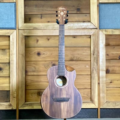 Washburn sales g mini