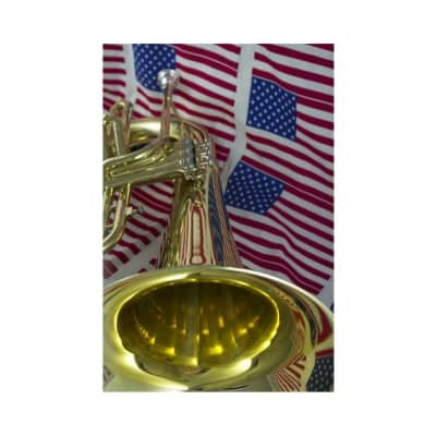 John Packer JP2054 Key of Marching Euphonium w/ABS Hard Plastic Case, Mouthpiece & Valve Oil image 11