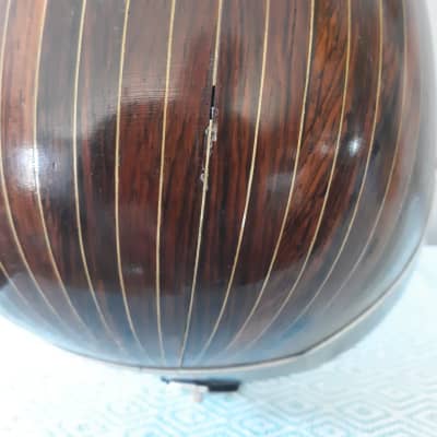 Washburn Bowl Back Mandolin, 26 Ribs, 1880-1920, Ornate, Tooled Leather OHSC image 11