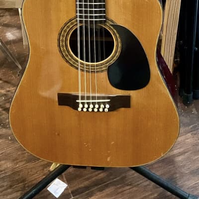 Alvarez 5021 12 String Acoustic Guitar for sale