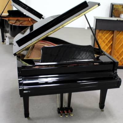 Young Chang Grand Piano 6'1 Black Polish image 5