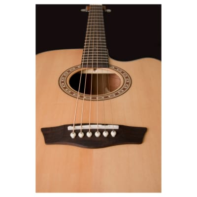 Washburn Acoustic Electric guitar image 9