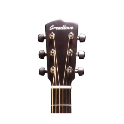Breedlove Wildwood Concerto CE Acoustic Electric Guitar, Indian Laurel Fingerboard, African Mahogany image 8