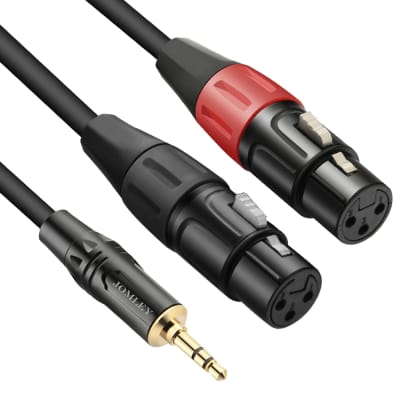 AxcessAbles 1/8 Stereo Male Mini-Jack to Dual 1/4 TS Audio Cable - 10ft |  1/8 TRS to Dual TS Mono Y-Splitter Cable | 3.5mm Stereo Mini-Jack to 2 TS
