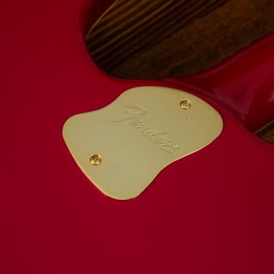🇯🇵 1993 Fender Terry-1 Anniversary, Custom Edition, All Original, MIJ, Japan image 15