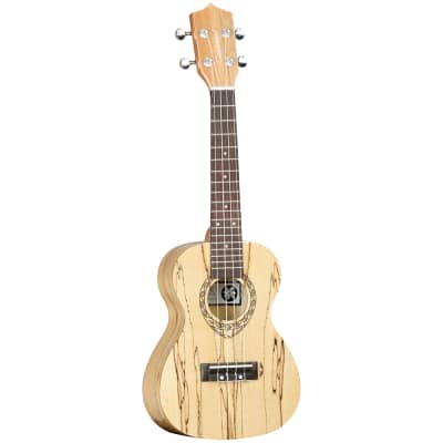 Tanglewood Tiare Concert Ukulele All Spalted Maple for sale