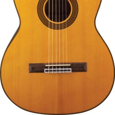 Takamine deals e30 nylon