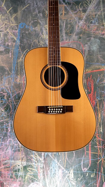 Washburn d10s12 shop