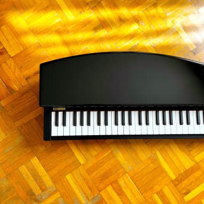 ☆ Brand New! ☆ Korg MicroPiano made in Japan - Mini Piano Keyboard 61 Key! Very great professional sounds! With original box, packaging, manual, p.supply! Impossible to find! image 3