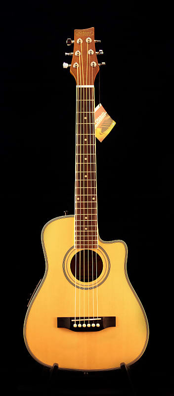 Kirkland Traveller Guitar image 1