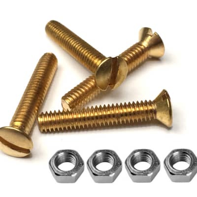 Brass Oval Head Slotted Screws and Nuts for Vox Handles