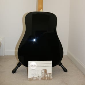 Fender Tom Petty Kingman - Limited Edition 2014 image 8