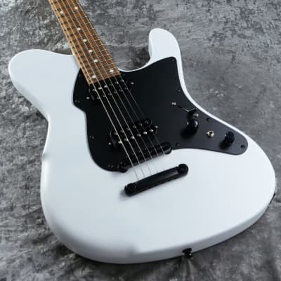 dragonfly BORDER 666  Half Matte Metallic White [Made in Japan!!] for sale