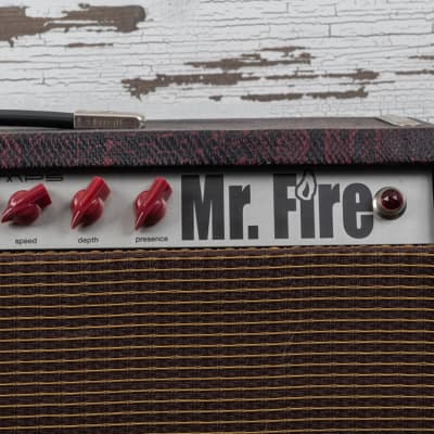 Ace Pepper "Mr. Fire" Custom Deluxe 1x12" Combo Amp image 5