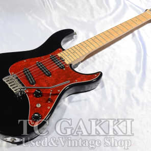 Fernandes Rt Dlx Jpc 2011 | Reverb