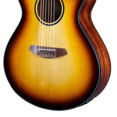 Breedlove Discovery S Concert 12 String CE Acoustic Electric Guitar Edgeburst European African Mahogany image 1
